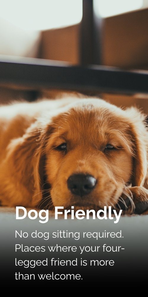 dog friendly long.jpg